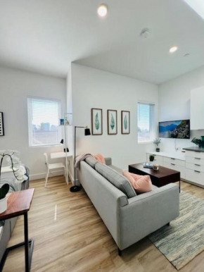 Brand New Luxury Fully Furnished Studio Suite